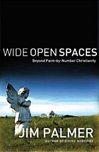 Wide Open Spaces: Beyond Paint-By-Number Christianity (Paperback)