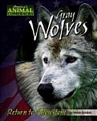 Gray Wolves: Return to Yellowstone (Library Binding)