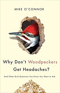 Why Dont Woodpeckers Get Headaches? (Paperback)