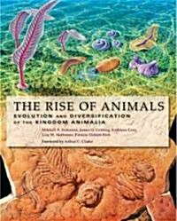 The Rise of Animals: Evolution and Diversification of the Kingdom Animalia (Hardcover)