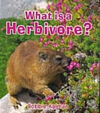 What Is a Herbivore? (Paperback)