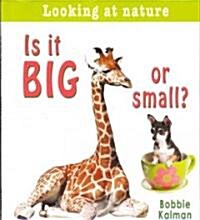 Is It Big or Small? (Paperback)