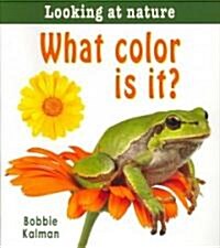 What Color Is It? (Paperback)