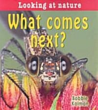 What Comes Next? (Paperback)