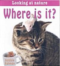 Where Is It? (Paperback)