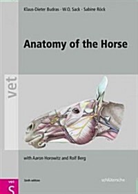 Anatomy of the Horse (Hardcover, 6, Sixth Edition)