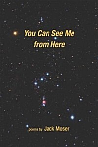 You Can See Me from Here (Paperback)