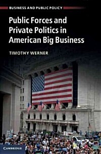 Public Forces and Private Politics in American Big Business (Hardcover)