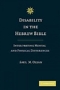 Disability in the Hebrew Bible : Interpreting Mental and Physical Differences (Paperback)