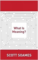 What Is Meaning? (Paperback)