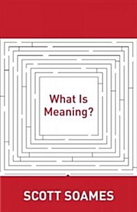 What Is Meaning? (Paperback)