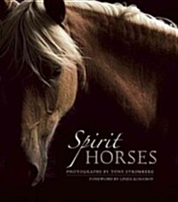 Spirit Horses (Paperback)