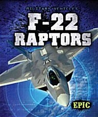 F-22 Raptors (Library Binding)