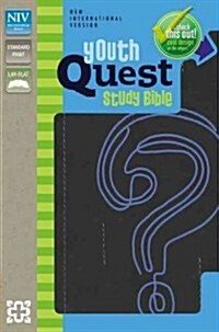 Youth Quest Study Bible-NIV (Imitation Leather)