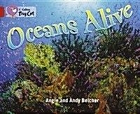 Oceans Alive : Band 14/Ruby (Paperback)