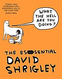 What the Hell are You Doing?: the Essential David Shrigley (Paperback)
