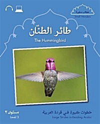 The Small Wonders: the Hummingbird (Paperback)