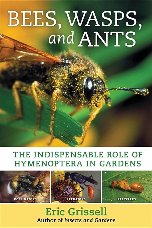 Bees, Wasps, and Ants : The Indispensable Role of Hymenoptera in Gardens (Paperback)