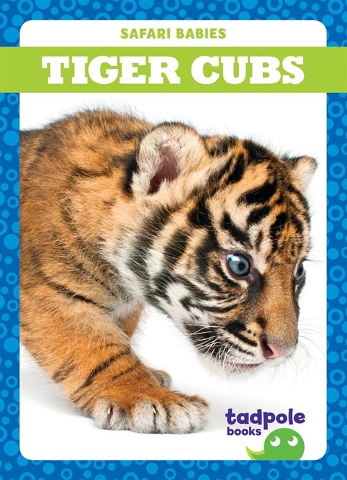 Tiger Cubs (Paperback)