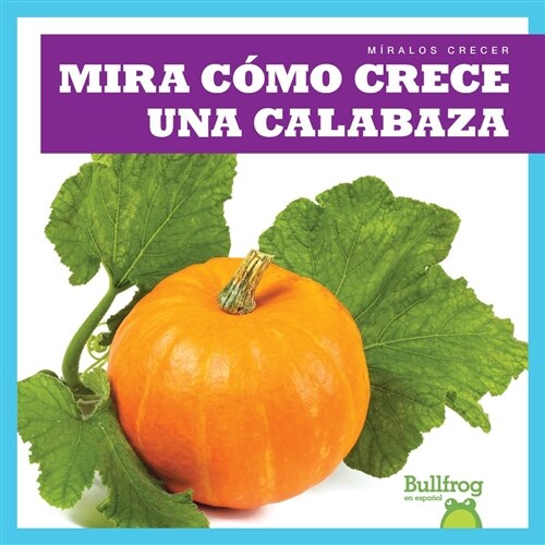 Mira Como Crece Una Calabaza (Watch a Pumpkin Grow) (Hardcover)