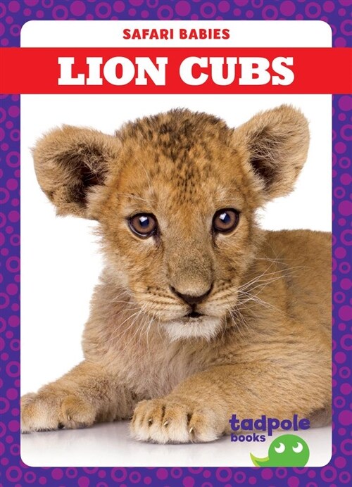 Lion Cubs (Hardcover)