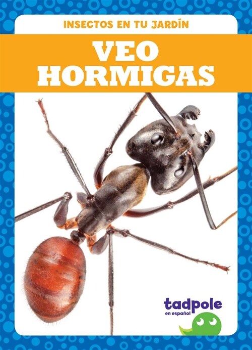 Veo Hormigas (I See Ants) (Hardcover)