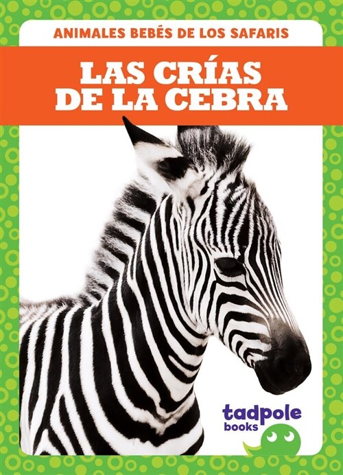 Las Crias de la Cebra (Zebra Foals) (Hardcover)