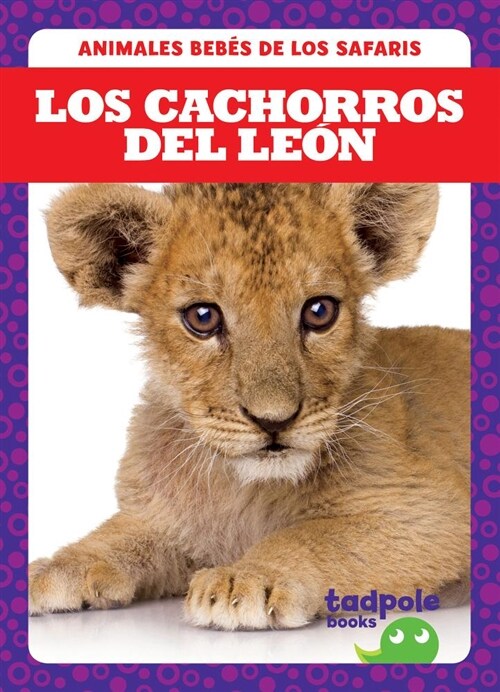 Los Cachorros del Leon (Lion Cubs) (Hardcover)