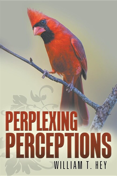 Perplexing Perceptions (Paperback)