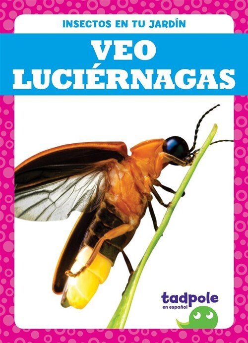 Veo Luciernagas (I See Fireflies) (Hardcover)