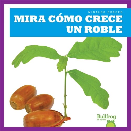 Mira Como Crece Un Roble (Watch an Oak Tree Grow) (Hardcover)