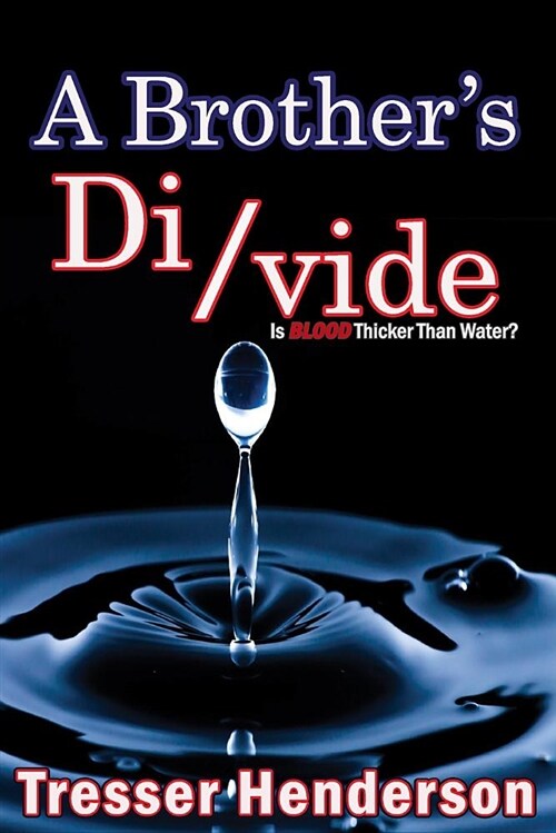 A Brothers Divide (Paperback)