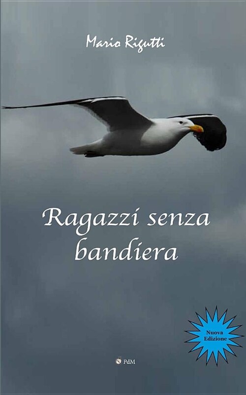 Ragazzi Senza Bandiera (Paperback)