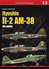 Iiyushin Ii-2 Am-8 (Paperback)