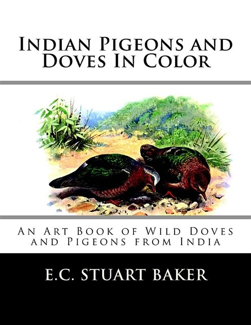 Indian Pigeons and Doves in Color: An Art Book of Wild Doves and Pigeons from India (Paperback)