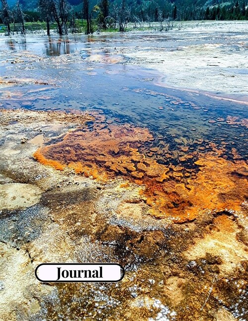 Yellowstone National Park Travel Journal: 8.5 by 11 Inches Notebook with 200 Pages / 100 Sheets (Paperback)
