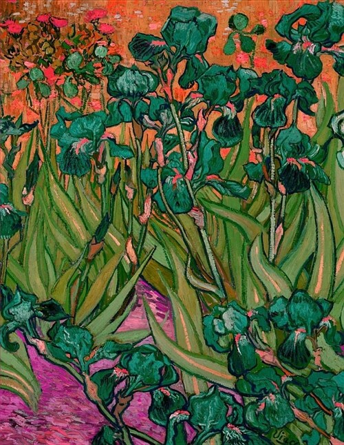 Notebook: Large Blank Sketchbook (Drawings/Illustrations) Van Goghs Irises Modern Bold Pink Version (Paperback)