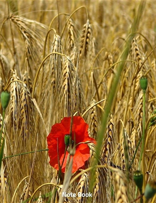 Note Book: Poppy in a Wheat Field, Writing Book, Wide Ruled, 200 Paged 7.44 X 9.69 (Paperback)