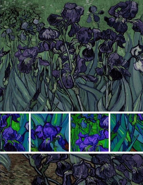 Notebook: Large Blank Sketchbook (Drawings/Illustrations) Van Goghs Irises Contemporary Version (Paperback)