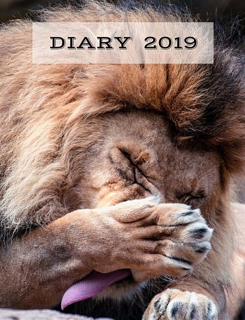 Diary 2019: Lion the Hunter, Big Cats, 7 Days a Week Planners, 7.44 X 9.69 Approx.19cm X 26.5cm Sized Book (Paperback)