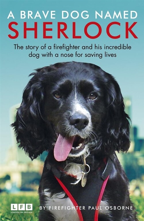 A Brave Dog Named Sherlock (Paperback)
