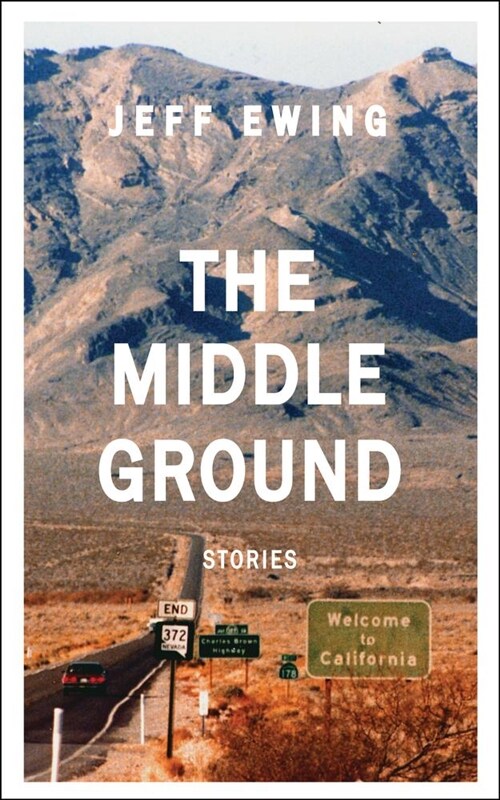 The Middle Ground: Stories (Paperback, None)