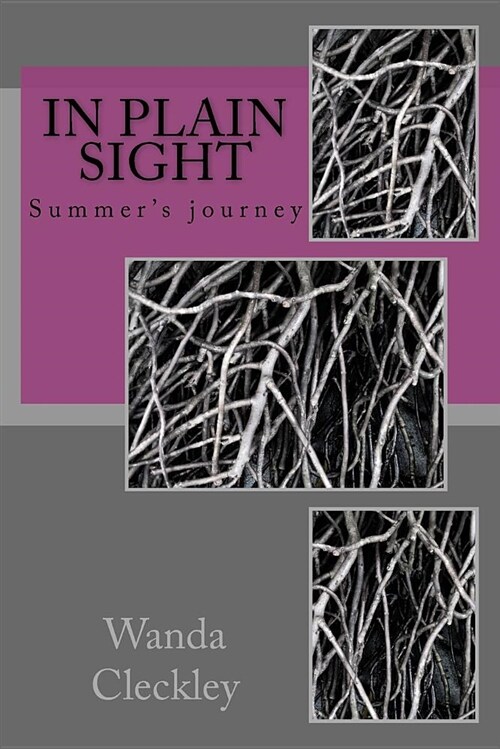 In Plain Sight (Paperback)