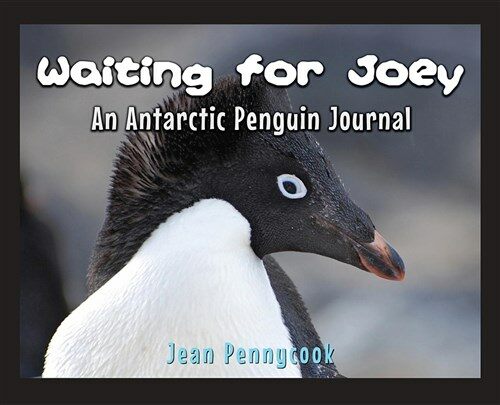 Waiting for Joey: An Antarctic Penguin Journal (Paperback, None)