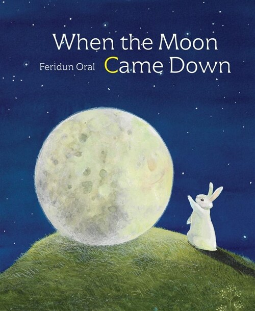 When the Moon Came Down (Hardcover, None)