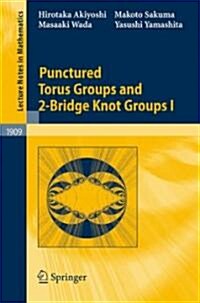 Punctured Torus Groups and 2-bridge Knot Groups (I) (Paperback)