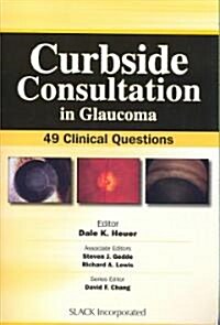 Curbside Consultation in Glaucoman (Paperback, 1st)