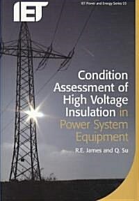 Condition Assessment of High Voltage Insulation in Power System Equipment (Paperback, New)