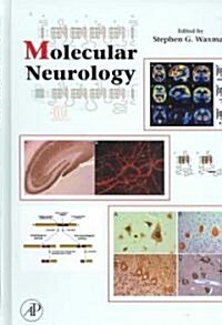 Molecular Neurology (Hardcover)