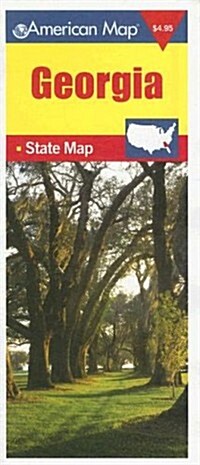 American Map Travel Vision Georgia State Map (Map)